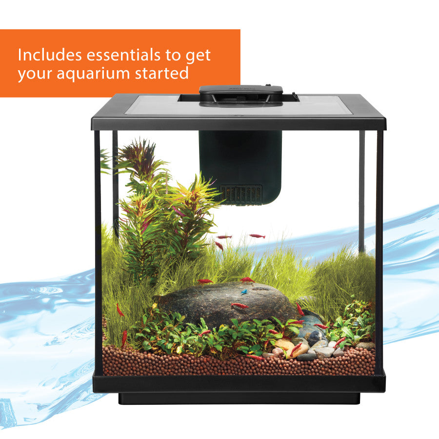 Shrimp 2024 aquarium kit