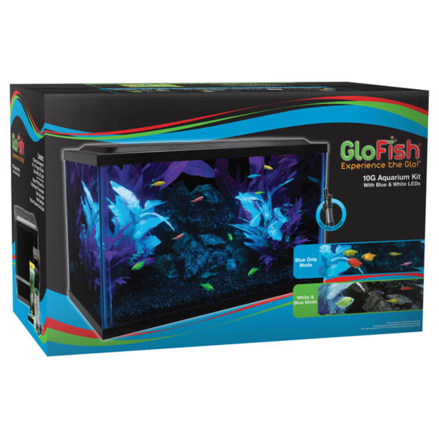 GloFish Aquarium Kit 10 gal