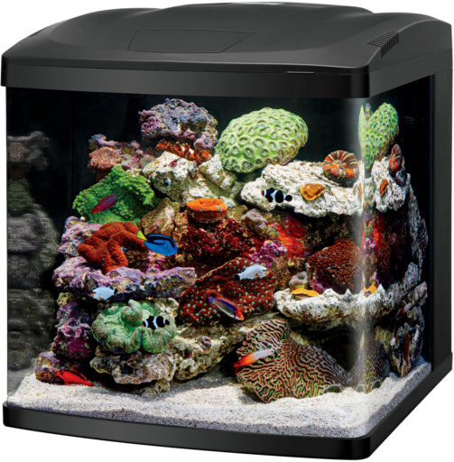 Black friday store fish tank sales