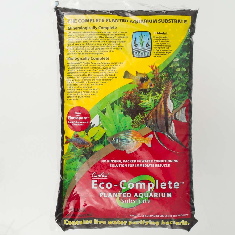 Eco 2024 complete black