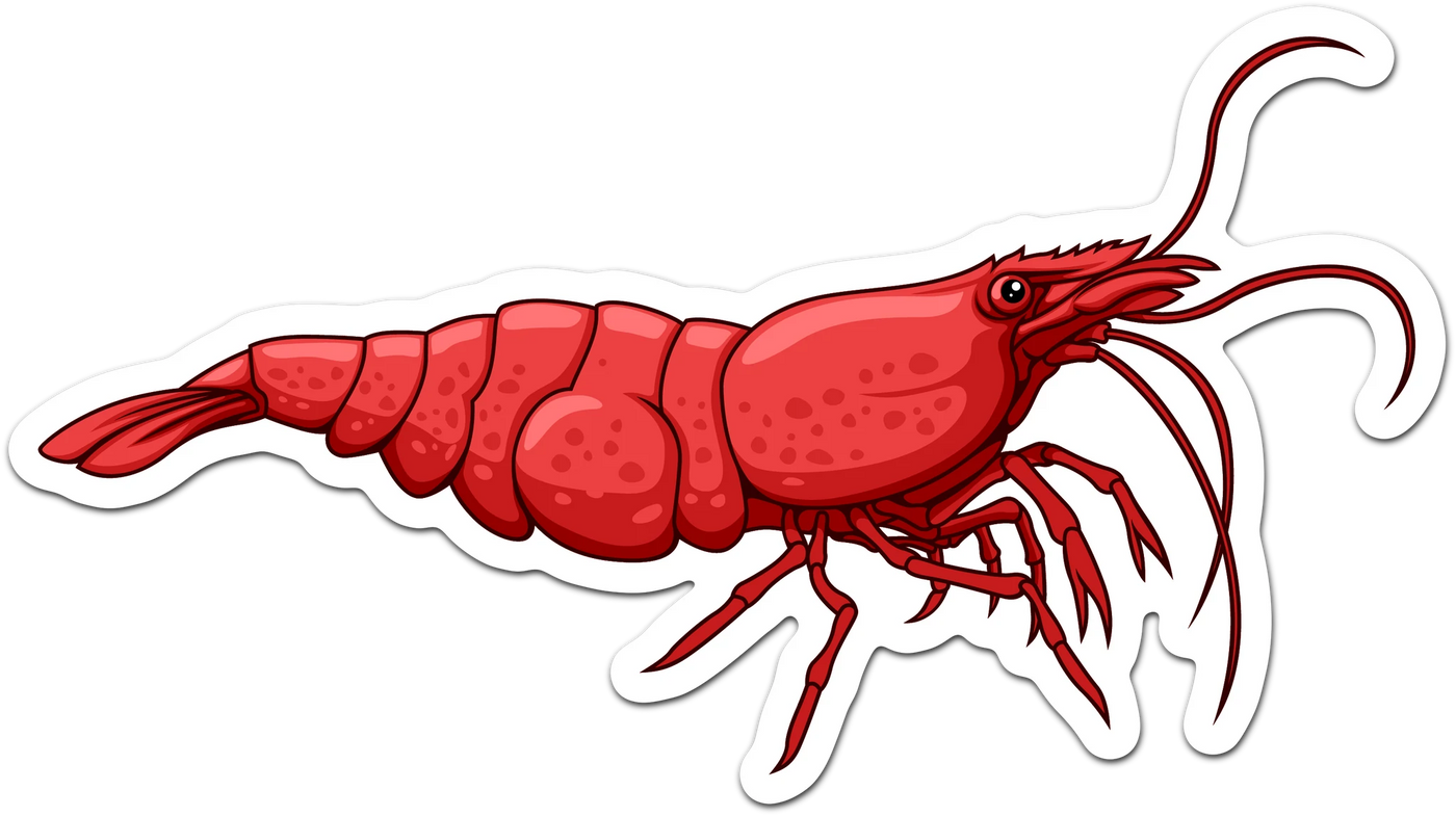 Red Cherry Shrimp Sticker 3"