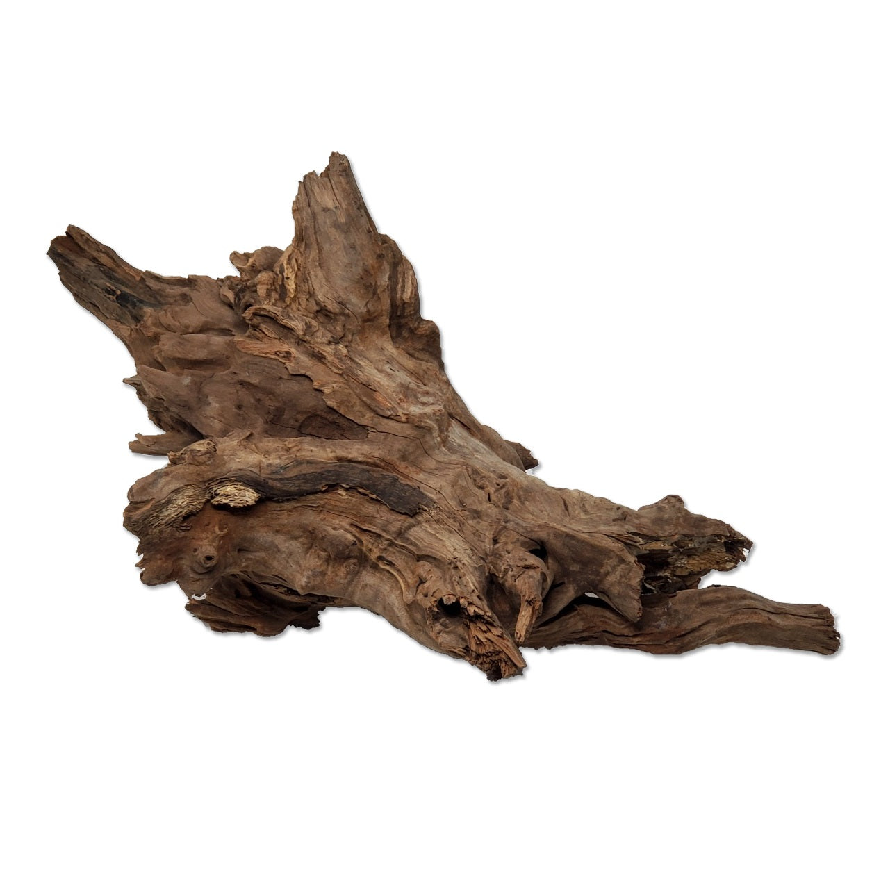 Drift Wood 12"-16" Small